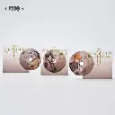 2023 Concert Series CD Pendants